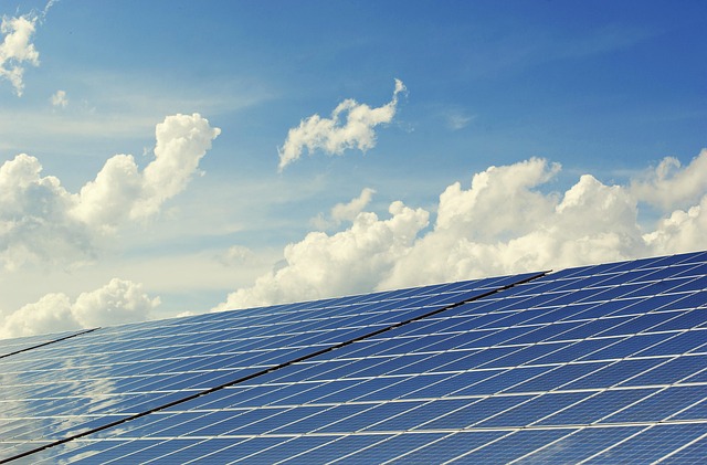 **Bio-fotowoltaika: Czy rośliny mogą zasilić przyszłość? Jak technologia BPV łączy naturę i energię słoneczną, oferując alternatywne źródło zasilania w miastach i na wsiach?**